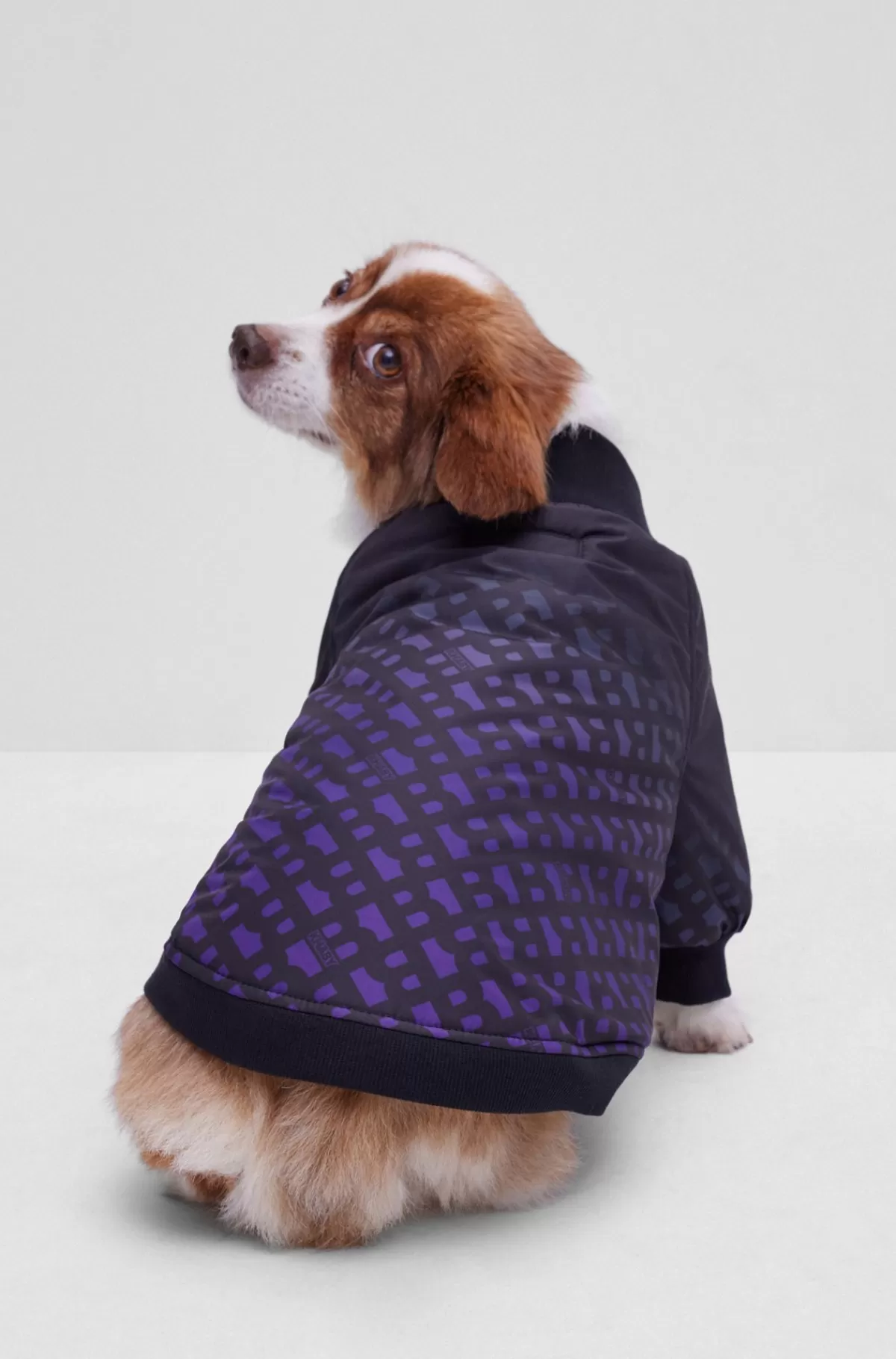 HUGO BOSS Bomberjakke Til Hunde Med Monogrammer I Aftagende Farve Sort Outlet