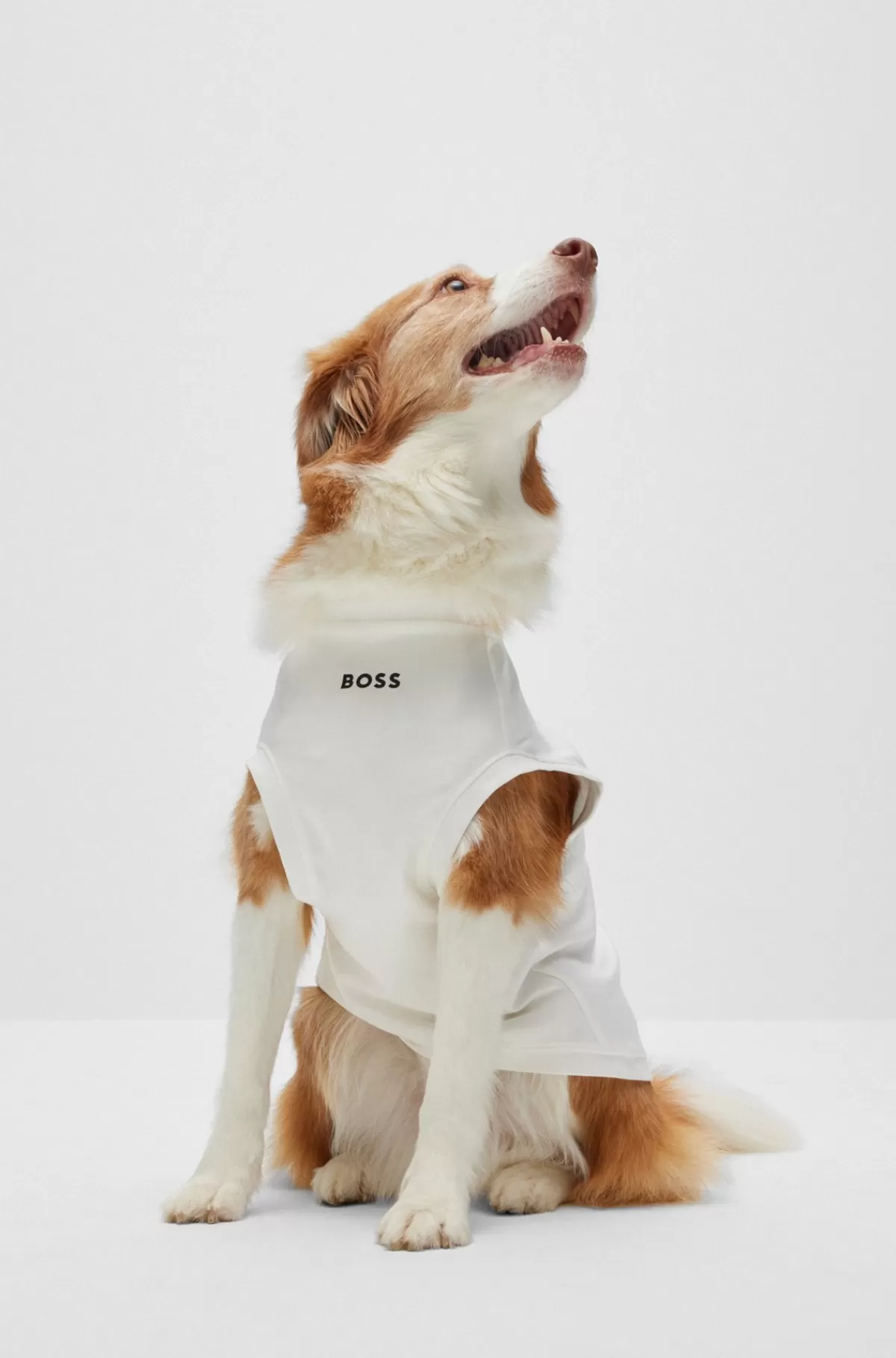 HUGO BOSS Poloshirt Til Hunde I Merceriseret Bomuld Og Med Logo I Kontrastfarve Hvid Clearance