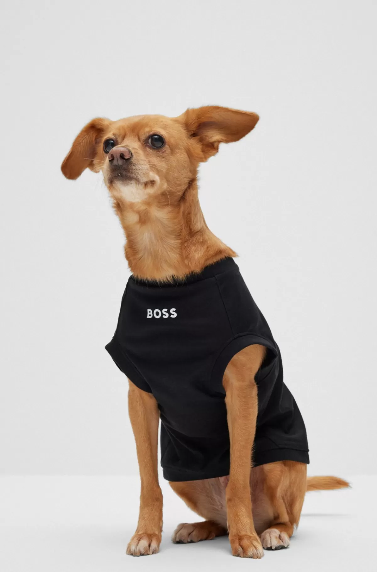 HUGO BOSS Poloshirt Til Hunde I Merceriseret Bomuld Og Med Logo I Kontrastfarve Sort Shop