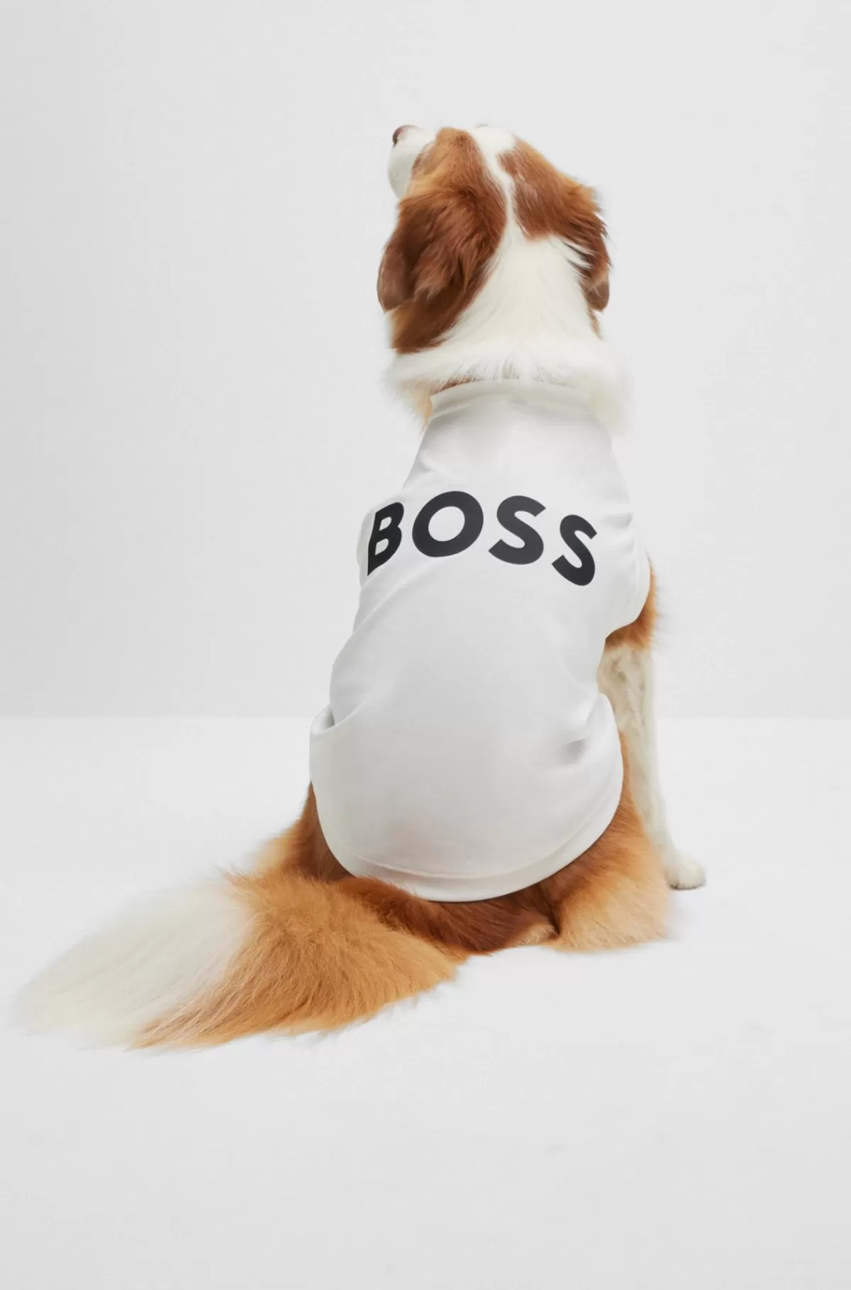 HUGO BOSS Poloshirt Til Hunde I Merceriseret Bomuld Og Med Logo I Kontrastfarve Hvid Clearance