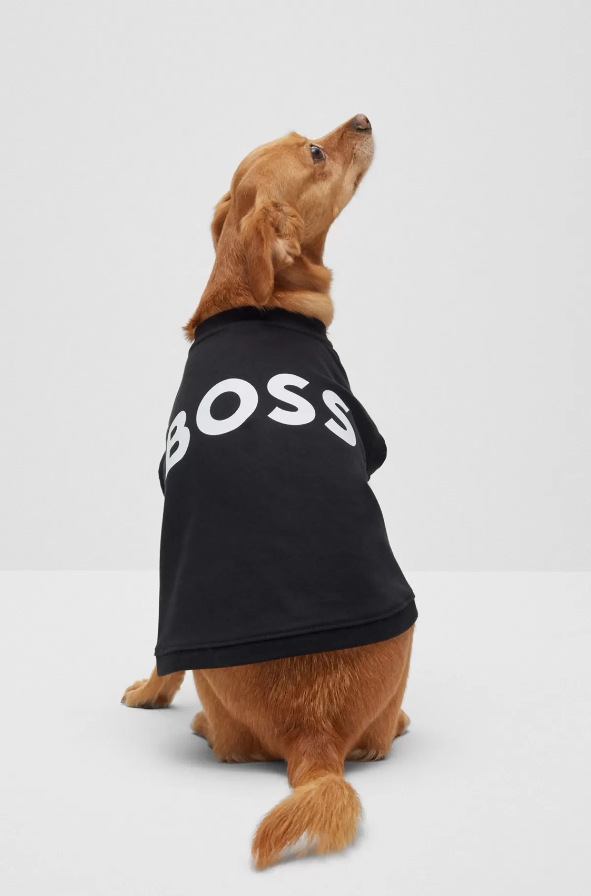HUGO BOSS Poloshirt Til Hunde I Merceriseret Bomuld Og Med Logo I Kontrastfarve Sort Shop