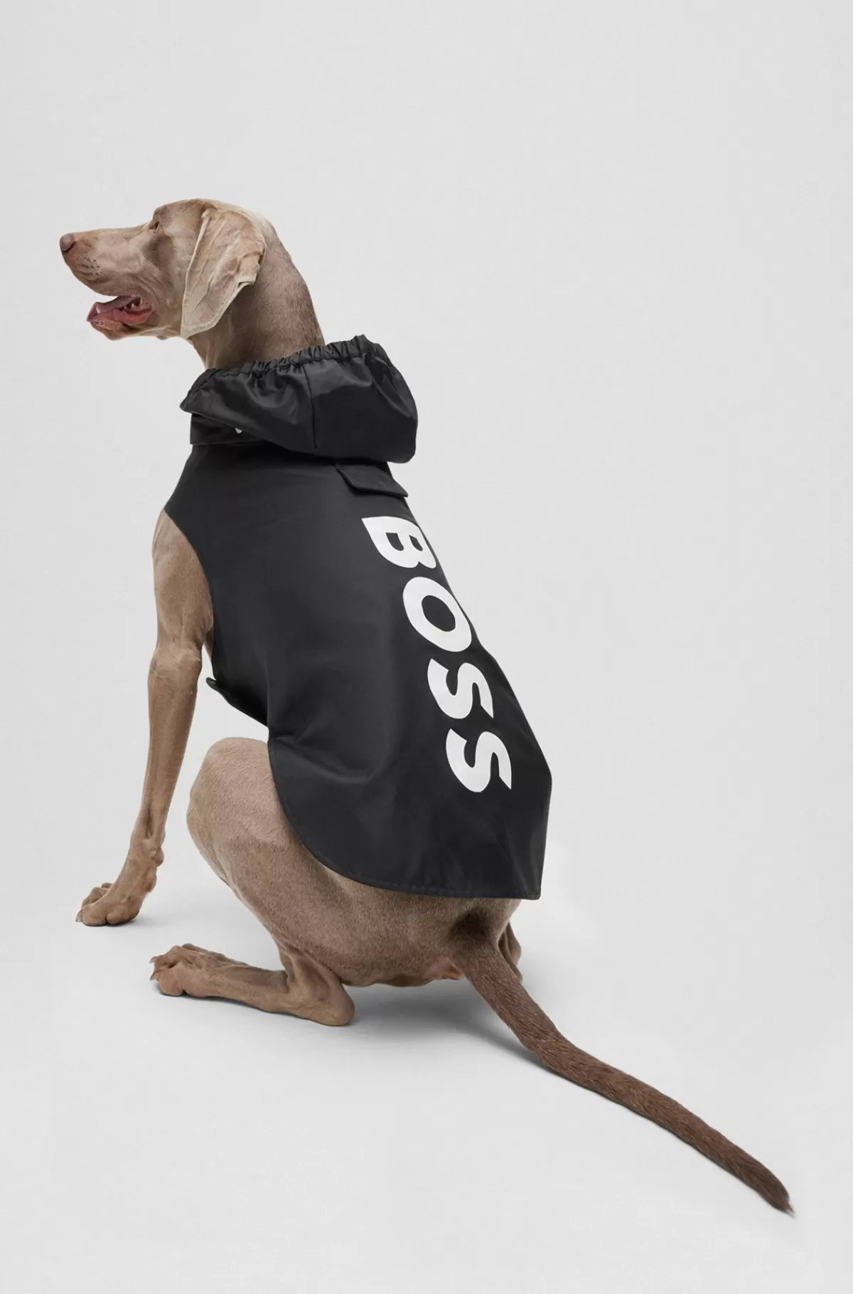 HUGO BOSS Regnfrakke Til Hunde I Vandtæt Materiale Med Logo I Kontrastfarve Sort Clearance