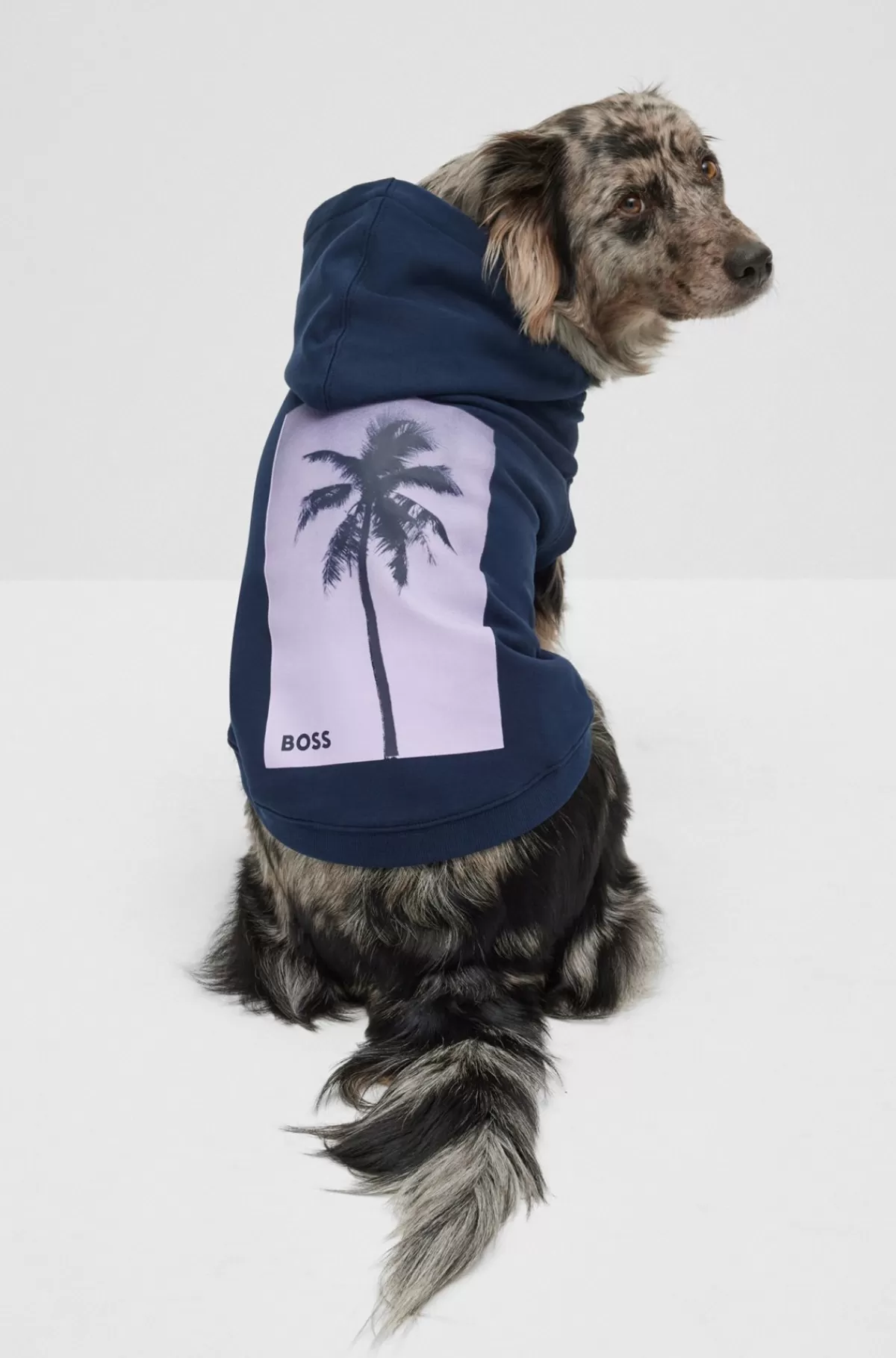 HUGO BOSS Strandhættetrøje I Bomuld Til Hunde Med Tryk Af Palmetræ Mørkeblå Store