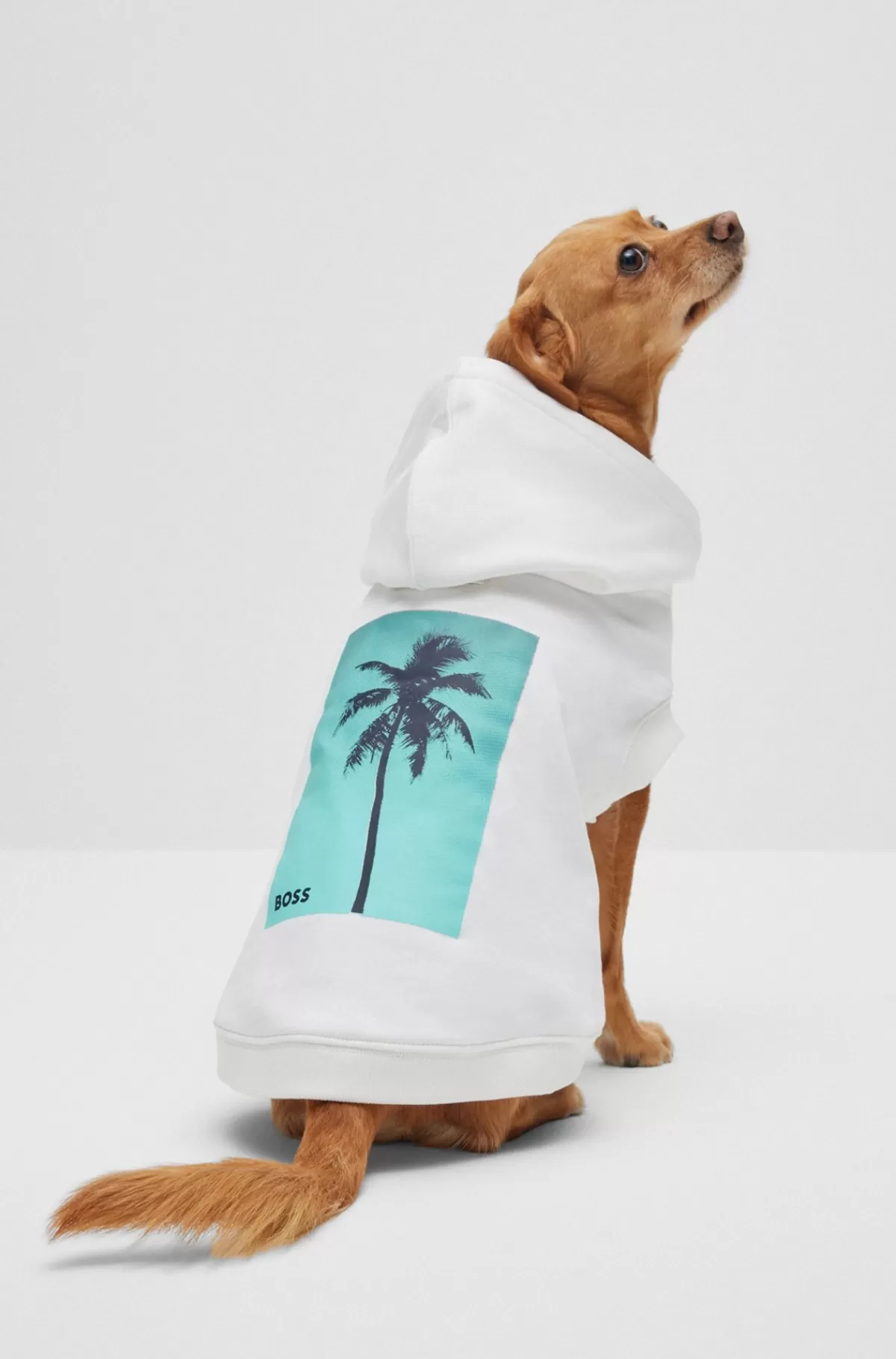 HUGO BOSS Strandhættetrøje I Bomuld Til Hunde Med Tryk Af Palmetræ Hvid Sale