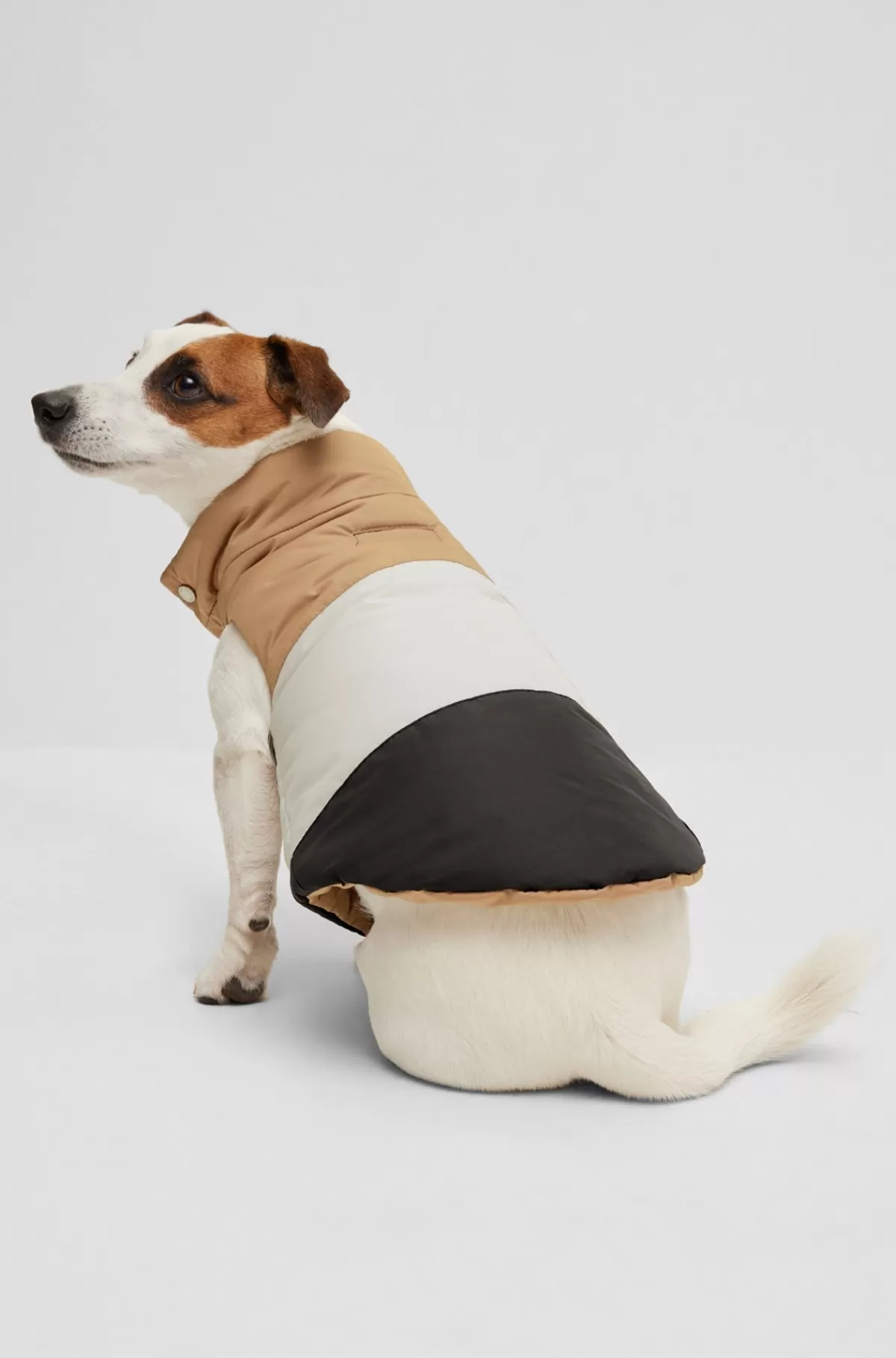 HUGO BOSS Vendbar Dunjakke Til Hunde Sort Fashion